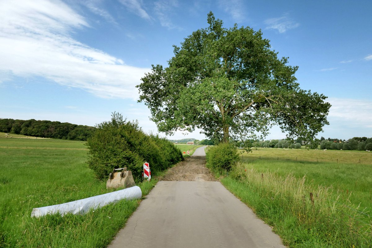 drakewla's tweet photo. The regional cycling route linking #PC1lux to #PC13lux in #Garnich, #PC12lux in #Kahler and access to #Dalhem is closed in #Mamer between #CR102 and #Holzem. With no diversion in place 🤬. https://t.co/MjSSaDrFZI