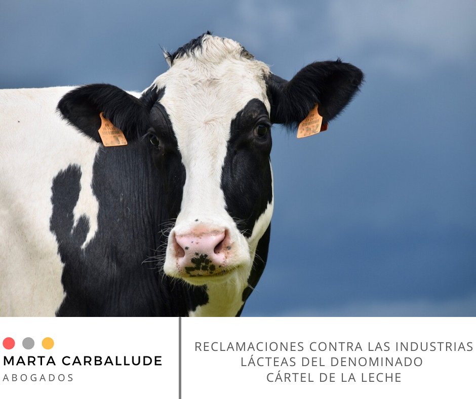 CarballAbogados's tweet photo. Reclamaciones contra las Industrias Lácteas del denominado "cártel de la leche"
En Marta Carballude Abogados te recomendamos interrumpir los plazos de prescipción frente a las empresas compradoras, más información en https://t.co/dkfrBZffch https://t.co/kN121vXsHN