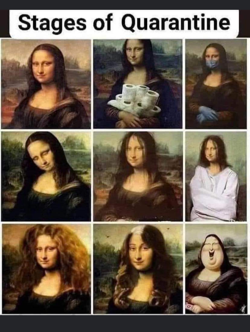 RachelMorganPhD's tweet image. Accurate 🤦‍♀️😂 #Quarantine #QuarantineLife #quarantinetimepass