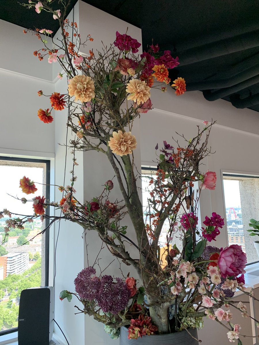 LunatechLabs's tweet photo. New flowers in #rotterdam offices #officelife #lunatechlabs https://t.co/1ega3ueddT