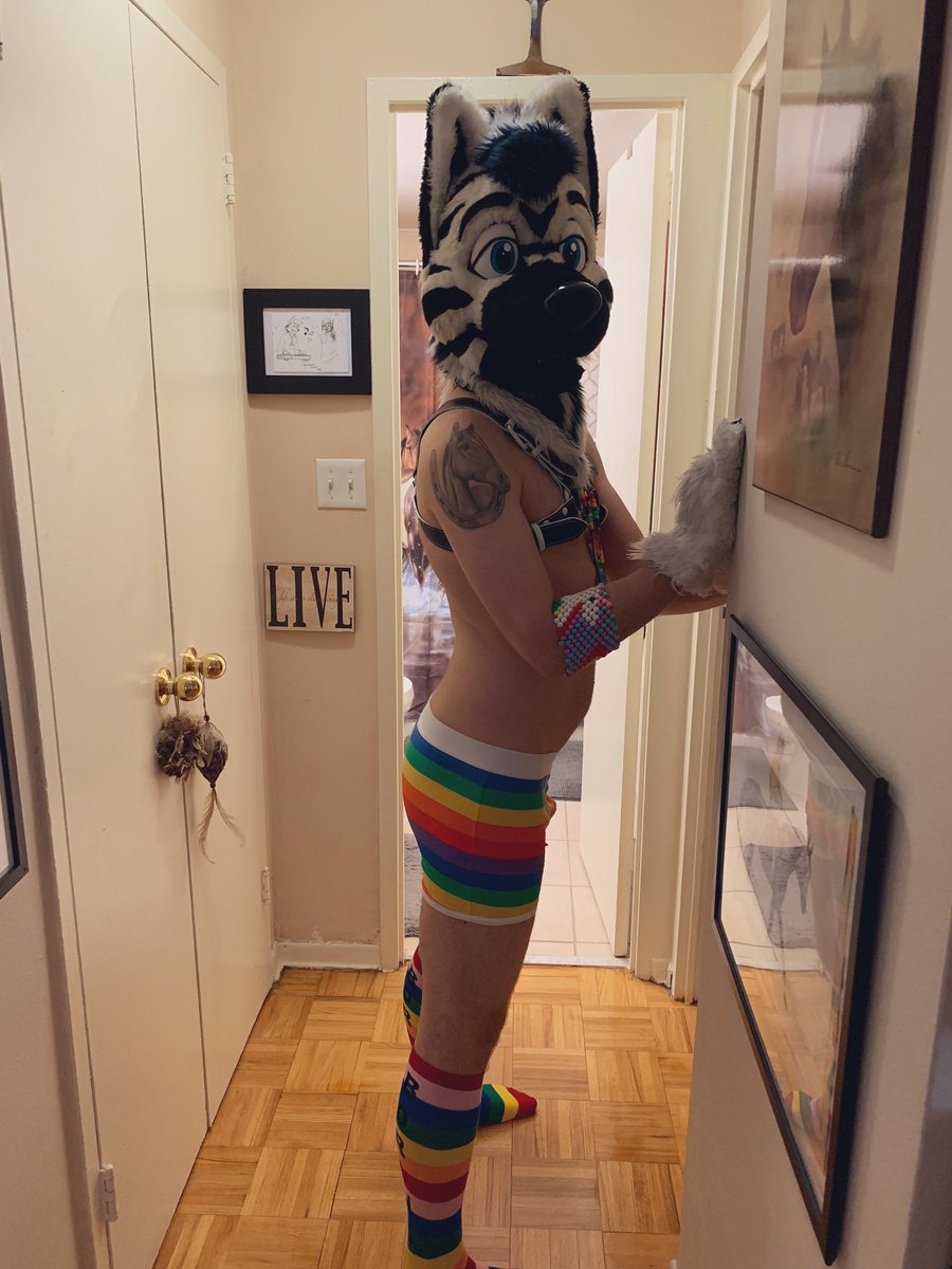 Zolar_the_Zolf's tweet photo. Wrruf! Happy Pride 🏳️‍🌈

No parade this year sadly, so this is my outfit from last year. We will still be celebrating this year, and reflecting on why Pride is so important.  

#PRIDE2020 
#FursuitFriday https://t.co/E2RS56iEZ2