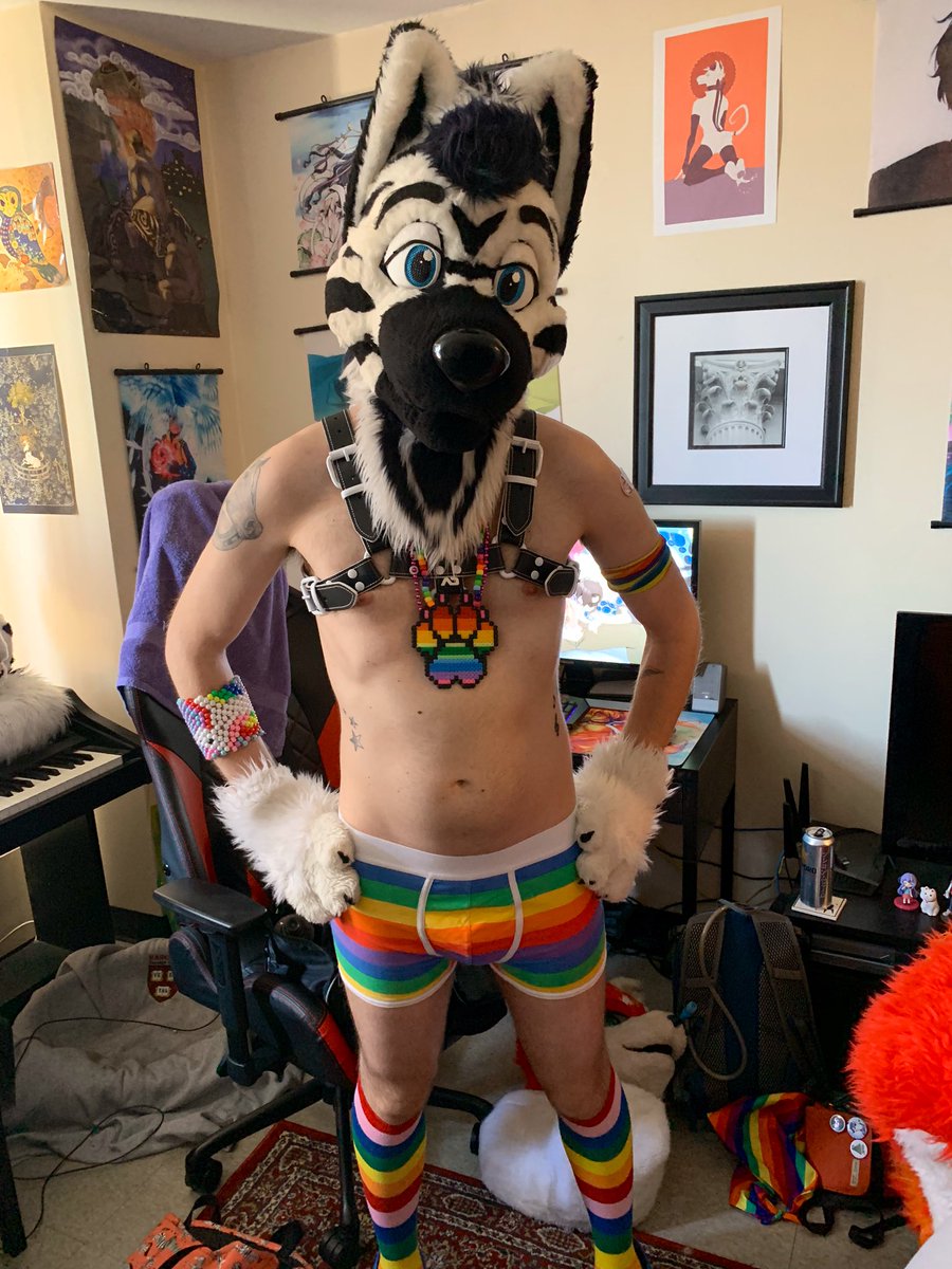 Zolar_the_Zolf's tweet photo. Wrruf! Happy Pride 🏳️‍🌈

No parade this year sadly, so this is my outfit from last year. We will still be celebrating this year, and reflecting on why Pride is so important.  

#PRIDE2020 
#FursuitFriday https://t.co/E2RS56iEZ2