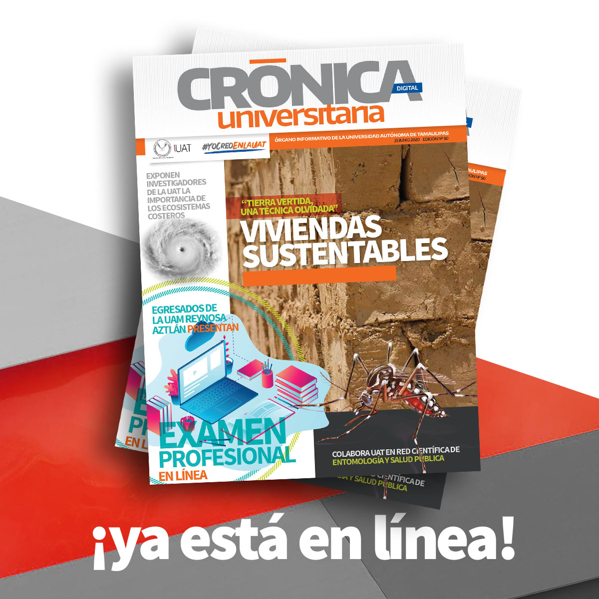 TU_CANAL_UAT's tweet photo. Crónica Universitaria
El Periódico Digital para los universitarios 🖊📰
Entra a 👉 https://t.co/rnWPXW5lIi
#TUUAT #TU_UAT #cecomUAT
¡Ayúdanos a dar like y compartir! https://t.co/AuFBVD1iDz