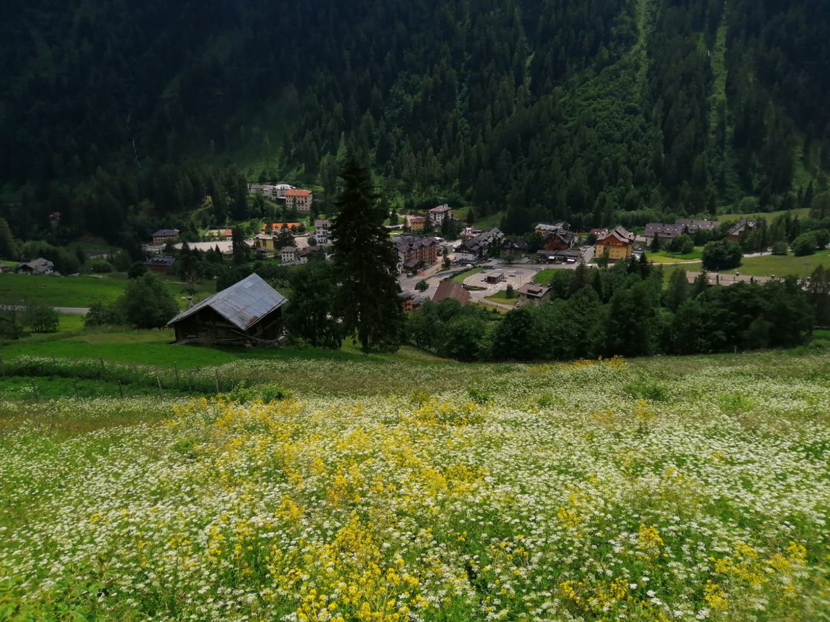 Val di Sole Trentino tweet media