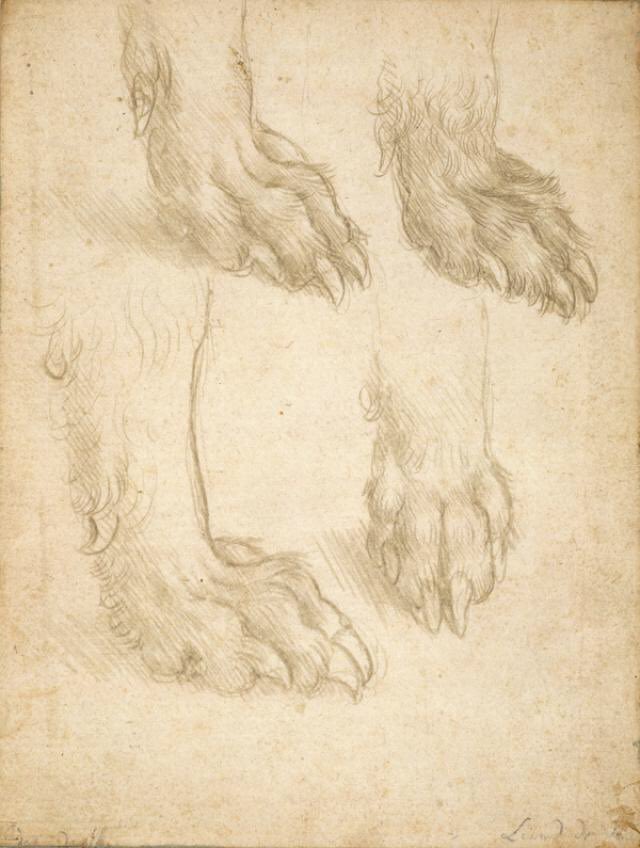The gallery has a great group of early Renaissance works. Detail from Botticelli’s Virgin Adoring the Sleeping Christ Child (c1490), Leonardo’s Study of Dogs Paws (c1480) & Raphael’s Drawing of A Kneeling Nude Woman (c1518)