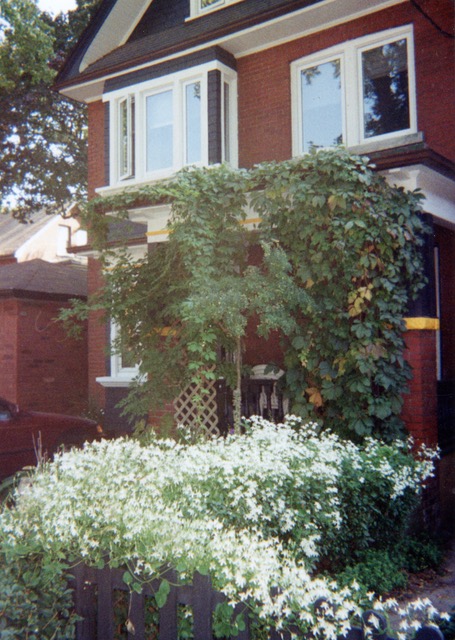 In the 1980s, 101 Dewson Street was a thriving hub of Black gay and lesbian activism in Toronto.  #TOheritage  #Pride2020   