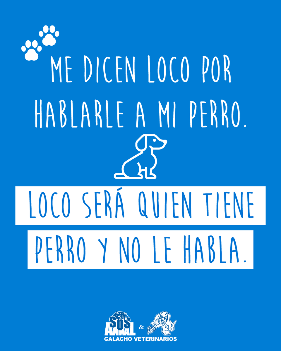 GrupoGalacho's tweet photo. Me dicen loco por hablarle a mi perro...
LOCO SERÁ QUIEN TIENE PERRO Y NO LE HABLA

#citas #citascelebres #quotes #citasenespañol #perros #perrosmalaga #frasesperros #animales #mascotas #mascotasmalaga #Veterinaria #ClinicaVeterinaria #hospitalveterinario #mascotasfelices https://t.co/GbQk5fBAWw