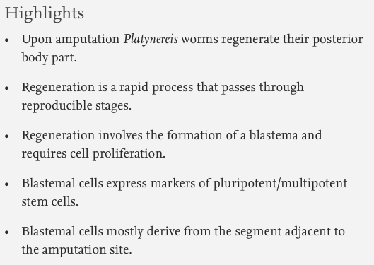 Dev_Bio_Journal's tweet photo. #DBteaser #DBfeatures #DevBio #ICYMI
"Morphological, cellular and molecular characterization of posterior regeneration in the marine annelid Platynereis dumerilii" by Anabelle Planques et al, and Eve Gazave @stemdevevo
Read it here -> https://t.co/JSUF3RTJZb https://t.co/dbKBs0hzxu