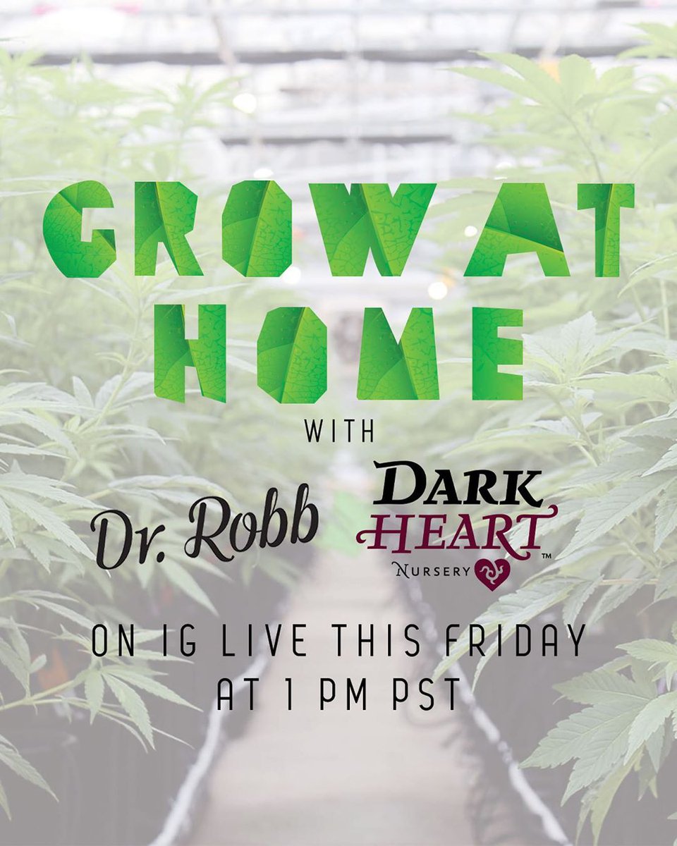 TODAY! Dr. Robb will be at 
<a href="/DHNClones/">Dark Heart Nursery</a>'s Half Moon Bay Facility for our Grow At Home series! 

Tune in to our IG live at 1PM PST ⁣Herb⁣⁣⁣
⁣⁣⁣
#cannabisculture #drrobbfarms #cultivator #grower #cannabiscommunity #cannabiscultivation #darkheartnursery