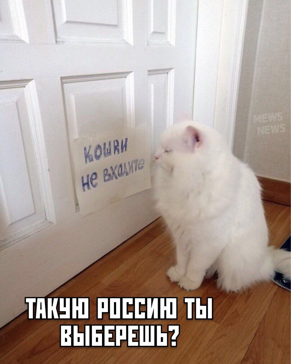 iuhperots's tweet photo. @mynameismaggot https://t.co/WPmYzW0yzu