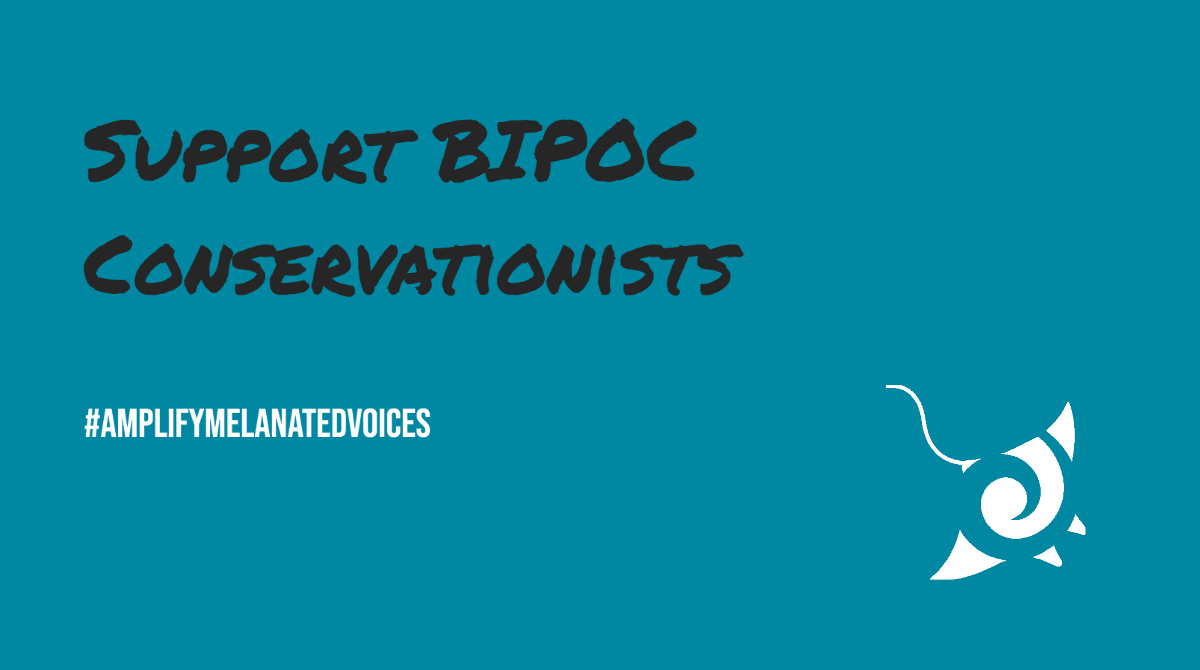 themarinediary's tweet photo. Every Friday we will be celebrating BIPOC conservationists. 

This week we're shouting out to:
@Cnidarians_Rock
@ScientistSymone
@soFISHtication

Full thread below for details 👇🏿.

Please follow and share to help #AmplifyMelanatedVoices. 

#BlackAFinSTEM #BlackinNature. https://t.co/ntPrn9oCVq