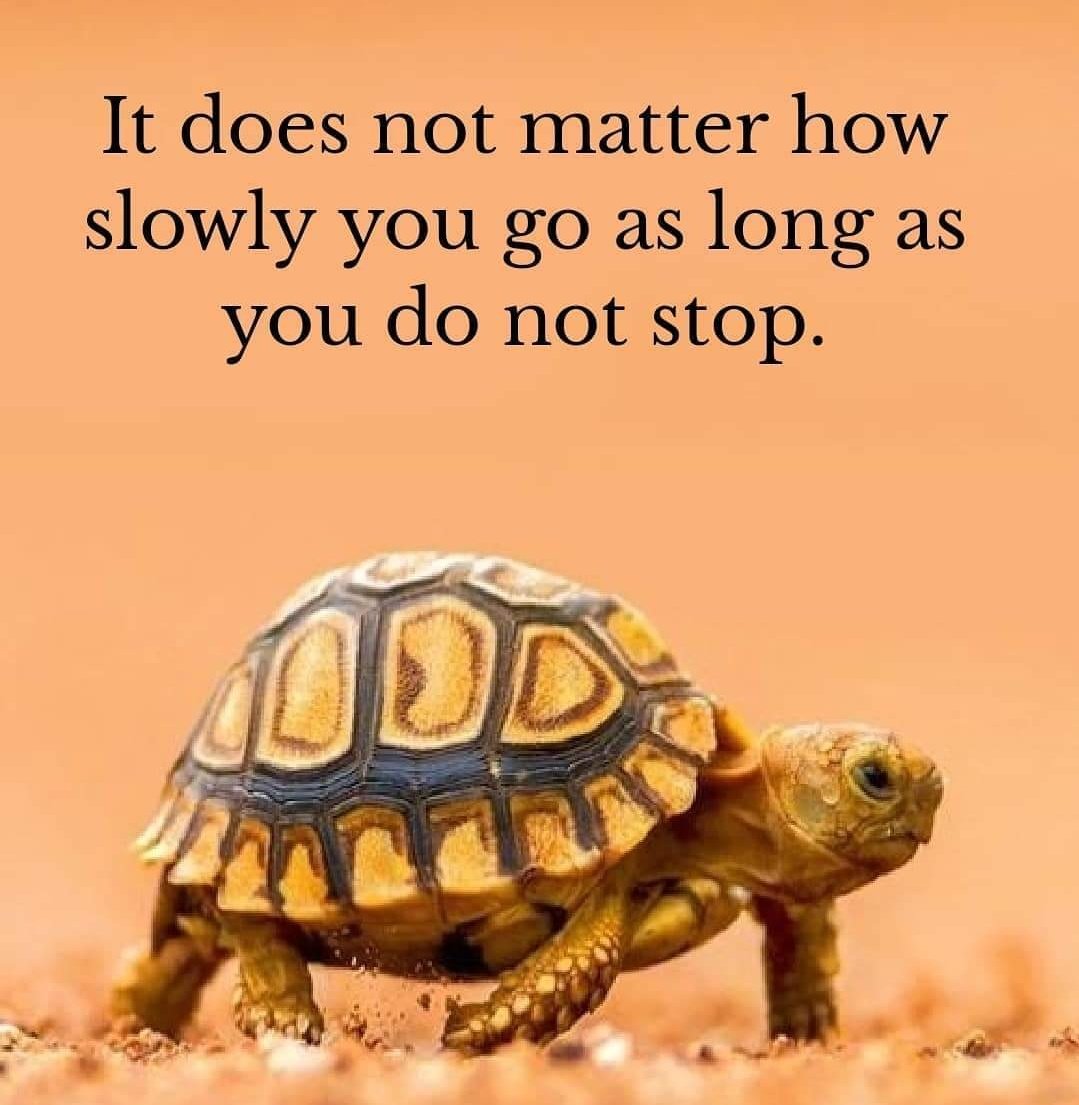 Inspiring Life Quotes Speed Doesn T Matter Direction And Perseverance Matter