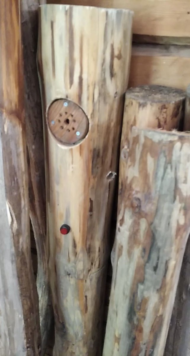active_history's tweet photo. Installation of a new exposition devoted to the history of the North-West Ladoga, Kurkijoki and Lopotti hill-fort has begun in the Kurkijoki Local History Center.
https://t.co/8c6iYUN6Bl
#InterActive_History #kareliacbc #Kurkijoki #Lopotti #Куркиёкскийкраеведческийцентр https://t.co/1afqFmEOyJ