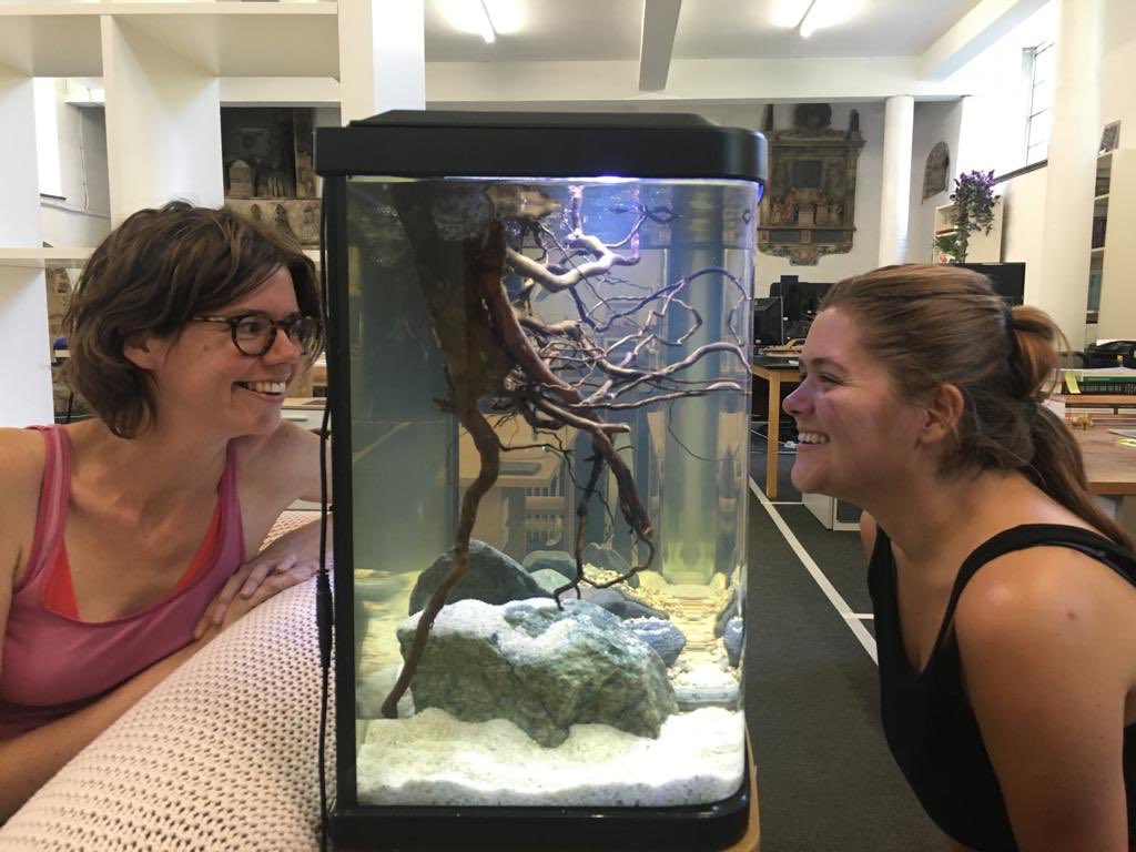 curious_local's tweet photo. Oh heeeeey Leo DiCaprio and Claire Danes! Are you playing out a Romeo &amp; Juliet scene for us or waiting for #ScienceClubDigital continuing next week? Still time to sign up - https://t.co/ZxMXv6XLXG https://t.co/pyXXFj56ih