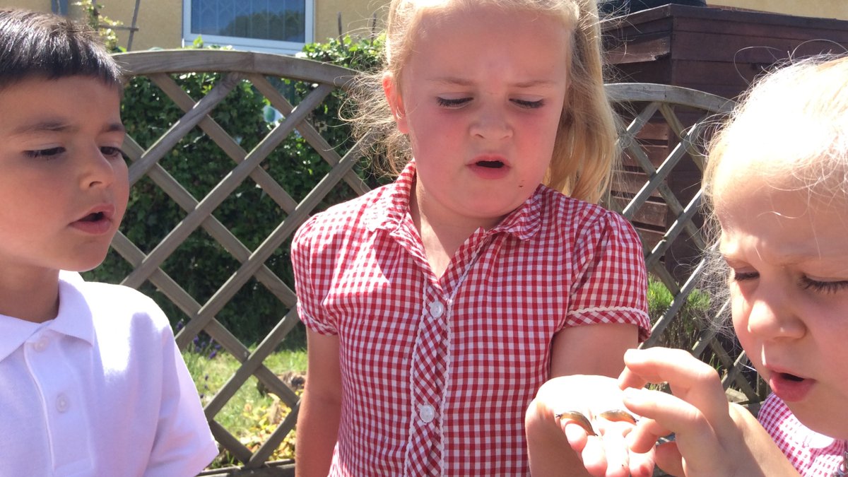 juckes's tweet photo. What a great week.  Painting, finding minibeasts in the grass, playing with the hose in the sunshine, and even a Zoom Assembly with Mrs Malbon on Friday.  Have a good weekend everyone, all rested and ready for the next week! https://t.co/a5kvYNzLdK