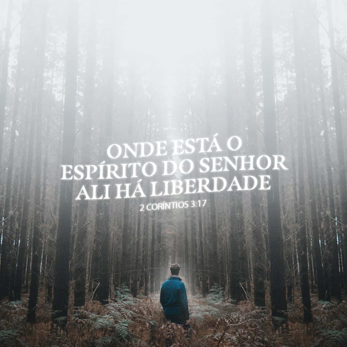 CleoNeckel2's tweet photo. Ora, o Senhor é Espírito; e onde está o Espírito do Senhor, aí há liberdade.
2Coríntios 3…
https://t.co/wNAYvhouRt https://t.co/pxLJr45aUm