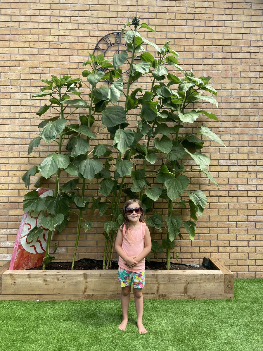 Claire downs tweet media