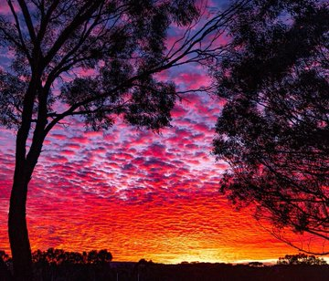 WorldTourisms's tweet photo. South Australia 🇦🇺 https://t.co/b7eHJ9YxJ1
