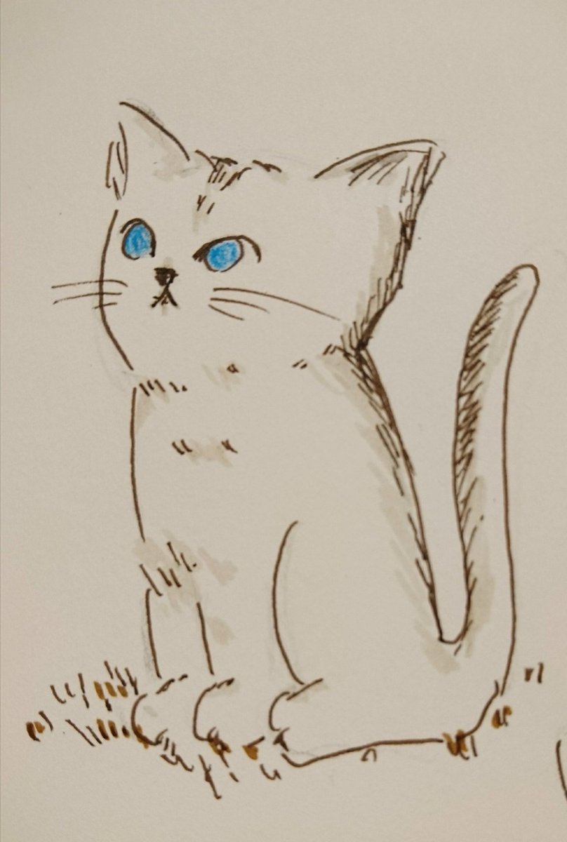 ちょっと息抜きとペンに慣れるために、猫イラスト。#絵の練習 #お絵描き #猫の絵 #猫イラスト #ペン 