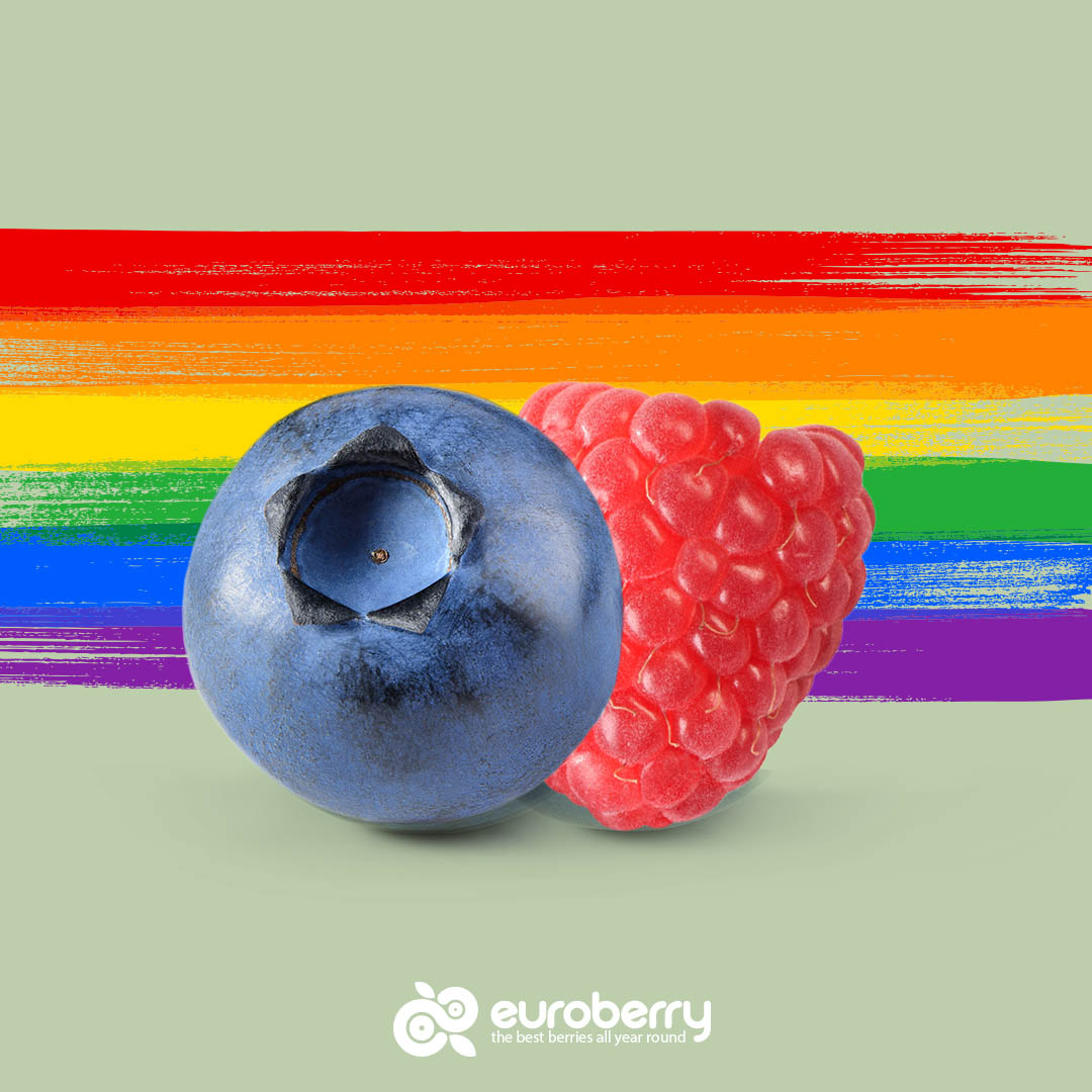 EuroberryES's tweet photo. Seas como seas, sé como eres 💜Todos formamos parte de la lucha por la igualdad 🌈 #orgullolgtbi https://t.co/VCDy1cBfJC