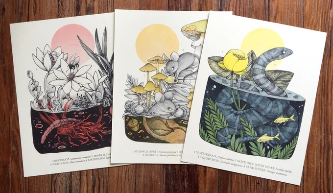 my spring semester thesis is a bit all over the place, especially because i was burnt out from writing and illustrating my first book. but i still made a lot of prints and products i'm proud of, including 4 risograph prints, a tote, and a bandana! 
