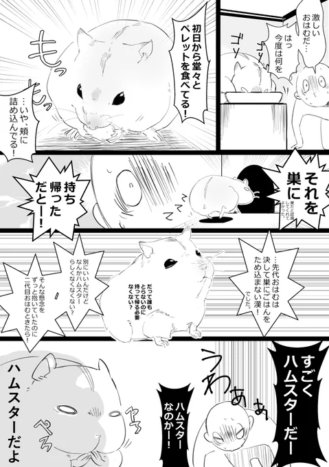 2代目:おハム日記②
『決して』は嘘です。最期らへん、動くのが億劫そうな時は貯めてたね。
#ハムスター漫画 