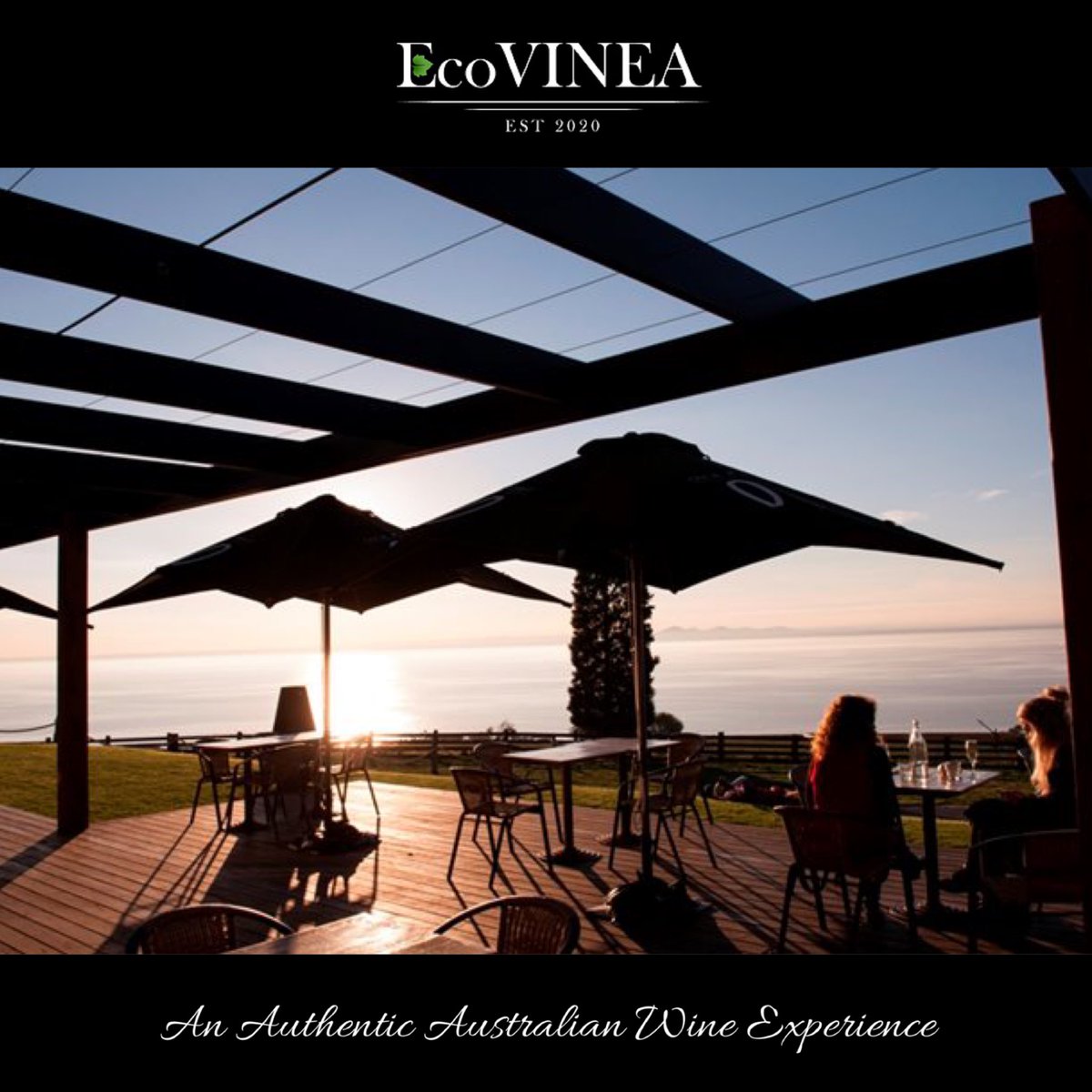 Geelong wine region's diverse sub-regions, from surf coast to volcanic plains, which resist the 'cool climate' label. Taste varieties with a subtle European style such as chardonnay and shiraz.”
 
ecovinea.com

#geelongwine #geelong #victoria #victoriawine #australia