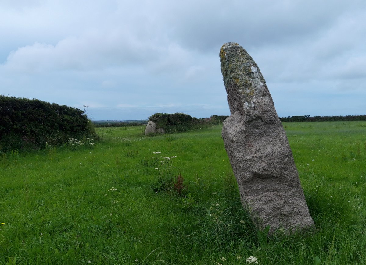 Trevorgans Menhir is a lovely standing stone in a peaceful spot near St Buryan. 2.5m / 8 foot or so but often missed as it's set back a little from the St Buryan/Crows-an-Wra road. I've lived here decades and only just found out about it. #PrehistoryOfPenwith