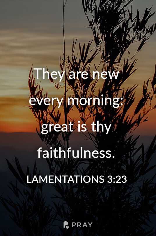 Download the Pray app for original daily devotionals and more. #pray #faithful link.pray.com/F1mdTwehD7