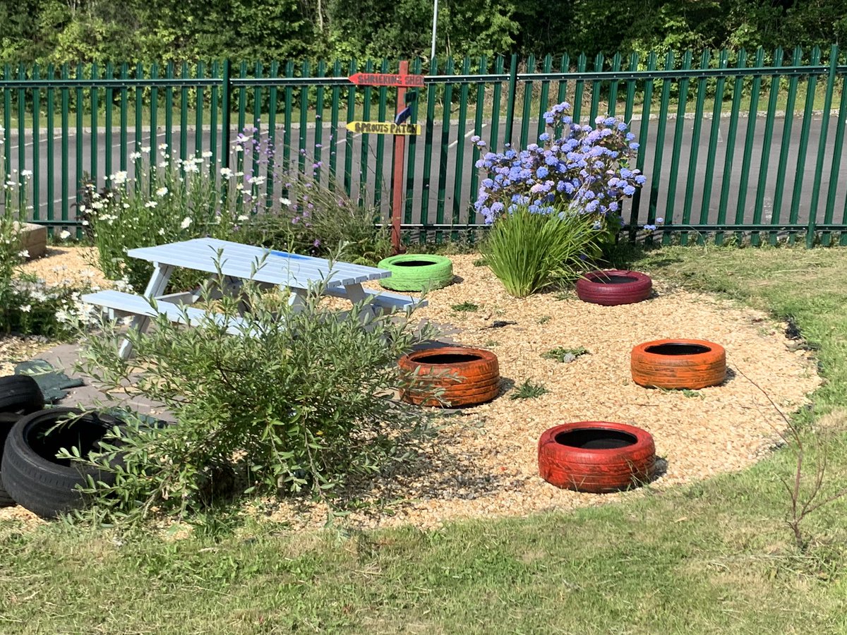 RCCS MsNash tweet media