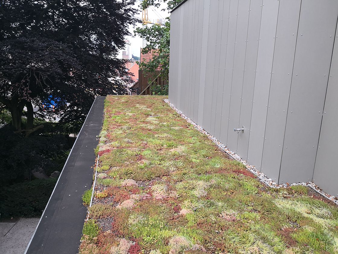 Binnen het onderzoeksproject “Ecocities” worden veel facetten van #groendaken en #groengevels bestudeerd (#biodiversiteit, fijnstofdepositie, waterbuffering, koelend effect,…) om zo onder meer een kosten-baten-tool te ontwikkelen. 
ecocities.be/?page_id=232