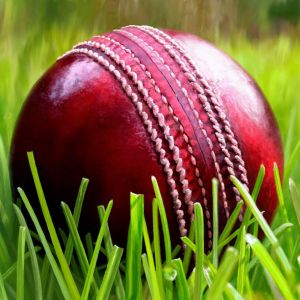 2020 Season - Return to Cricket Planning 🏏 - mailchi.mp/cb4909762bcd/2…