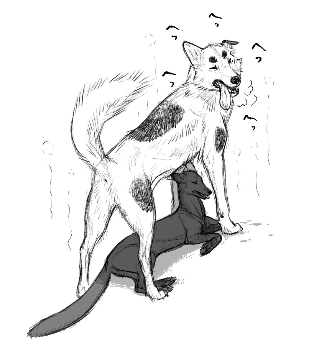 結構前に描いた夏のワンねぇ～と梅雨のワンねぇ～です。キツネは難しいのワンねぇ!

#サキとマダラ 