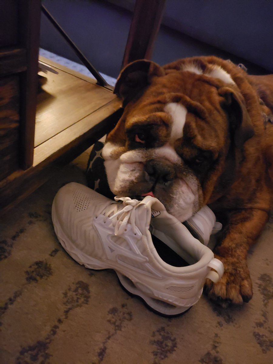 Pronation vs. Supination Understanding Foot Type for Running Shoes