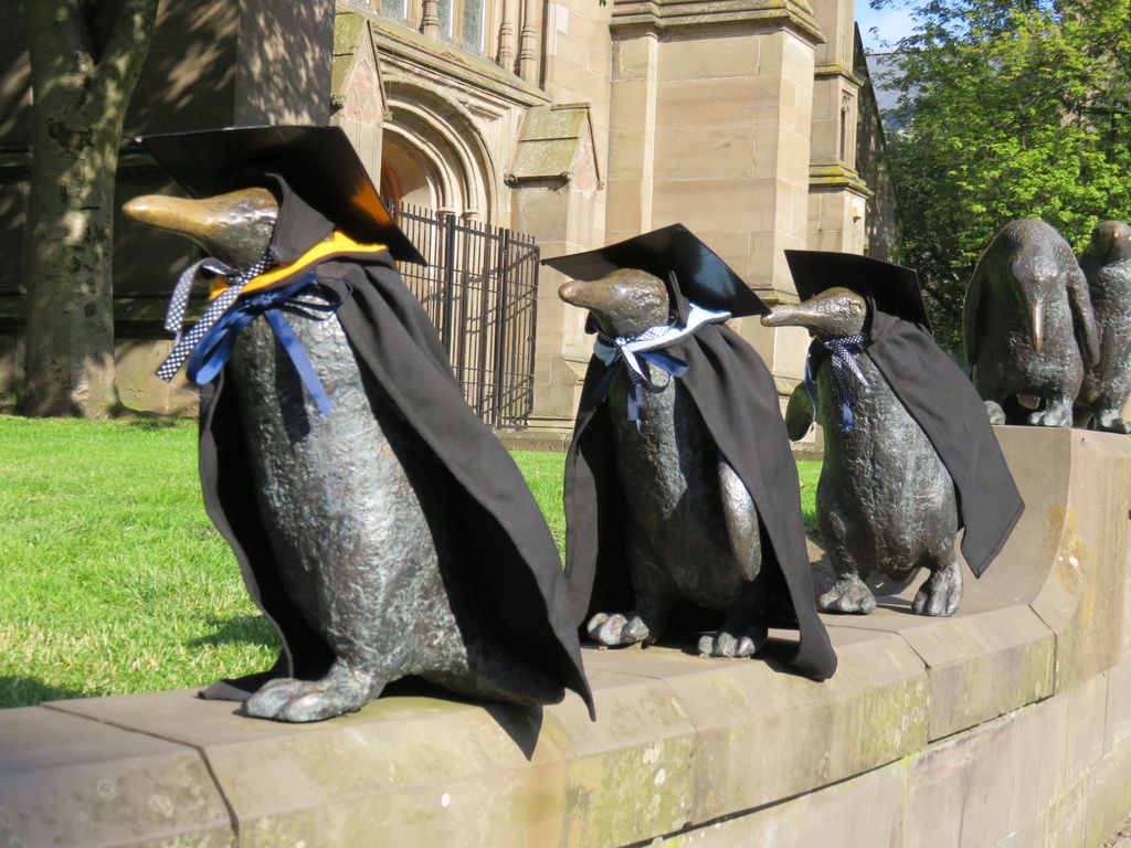 UoDMedicine's tweet photo. 🎉 🐧 Congrats to our Class of 2020!  🐧 🎉
Today should have been your day, and we're sorry we're not celebrating together, but everyone from the School is so proud of you and we can't wait to see what you'll go on to achieve...
#dundeeuni #dundeemedic #classof2020 https://t.co/V6h1vtl5v6