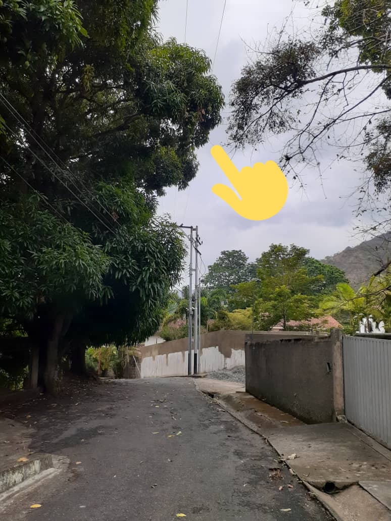 aligago's tweet photo. @CorpoelecAragu2 @lrsapiain @FreddyBritoM1 @RMarcoTorres @amigosdemaracay @AlcaldePedroB Urb.Palmarito necesita con urgencia  la poda de unas ramas sobre tendido de alta tension en un sitio muy puntual, estás producen fallas eléctricas que tardan hasta 28horas en ser reparadas. @RMarcoTorres  @AlcaldePedroB @lrsapiain https://t.co/dDXhJXxvbl
