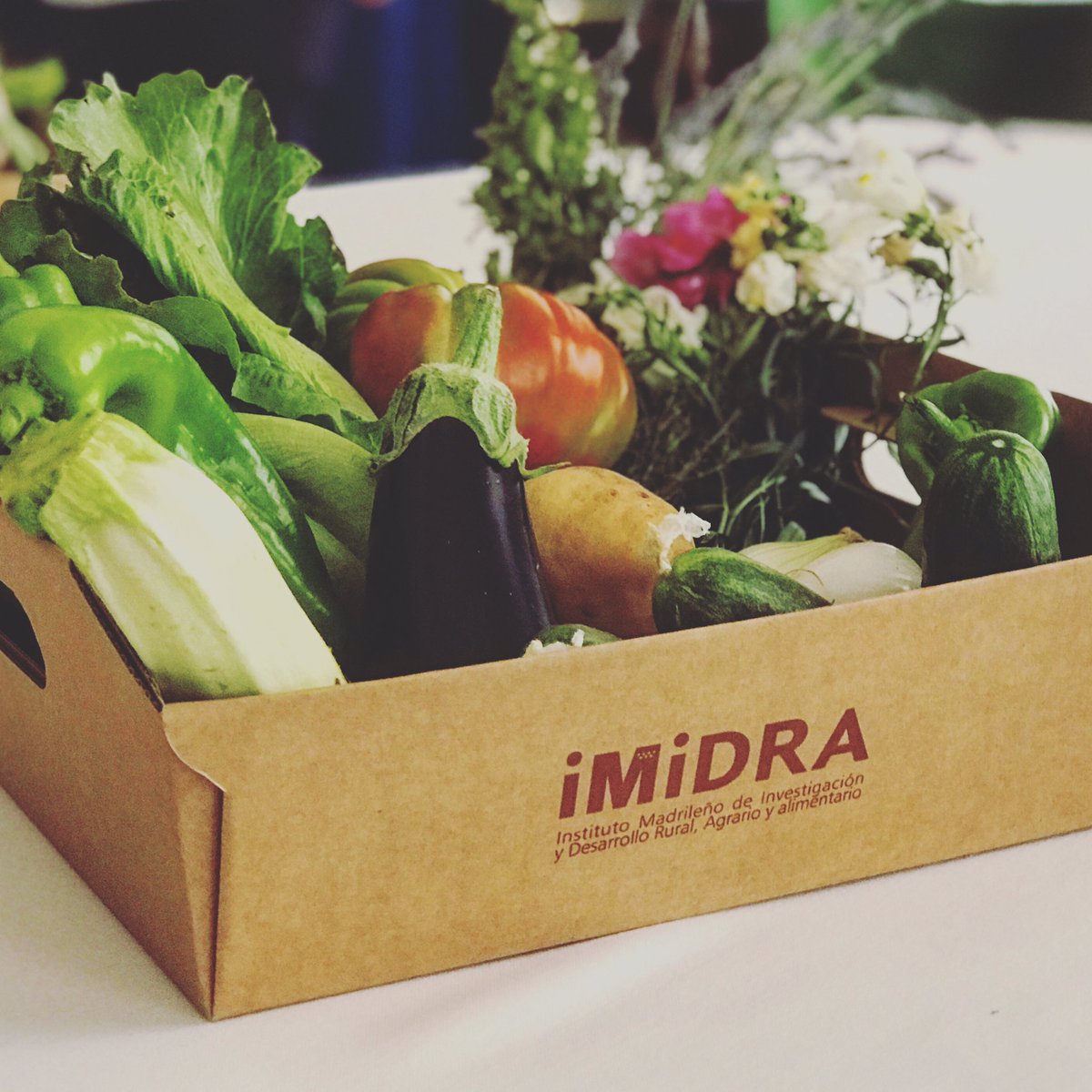 MSandovalCOQUE's tweet photo. Hoy hemos firmado un acuerdo de colaboración con IMIDRA para recuperar los sabores de siempre en nuestra finca #ElJaralDeLaMira https://t.co/FlQVZpBRt6
