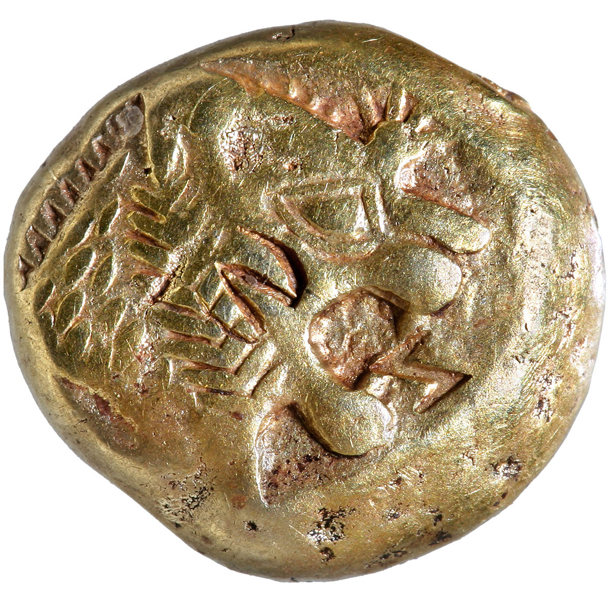 padovamusei's tweet photo. Frazione di statere della Lydia
elettro, VI secolo a.C. - Museo Bottacin
Acquistata nel 2007, risulta essere la moneta più antica della collezione museale si tratta di un terzo di statere della Lydia.
#museobottacin #statere #moneta #numismatica #magnagrecia #palazzozuckerman https://t.co/XbOM1t3taH