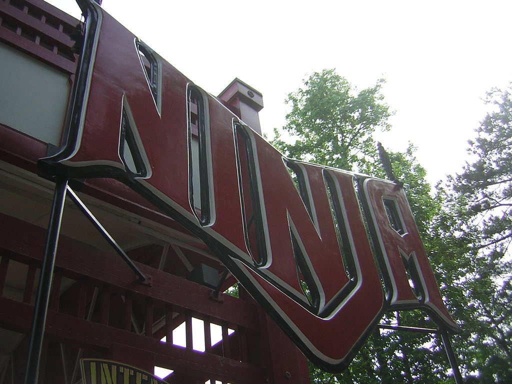 If 2020 was a rollercoaster
