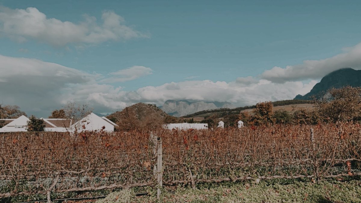 Rashiq Fataar tweet media