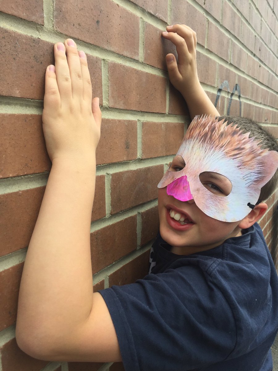 racheleclarke's tweet photo. Fabulous! Iβve just found this creature hanging out in the back lane! https://t.co/ruI5MgzyCF