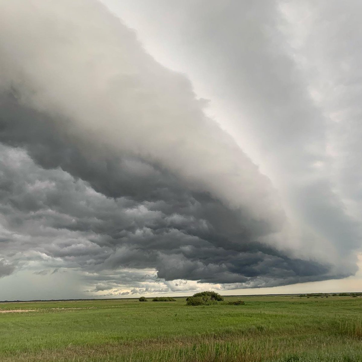 DirectedMemorie's tweet photo. #mbstorm #chasingmanitoba #stormchasing #lightningphotography #rainfall #ctoglightning #ctoclightning #lightning #shelfcloud #mouthofthebeast #spacestatoon #downpour #travelmanitoba https://t.co/2yXHhb2hJl