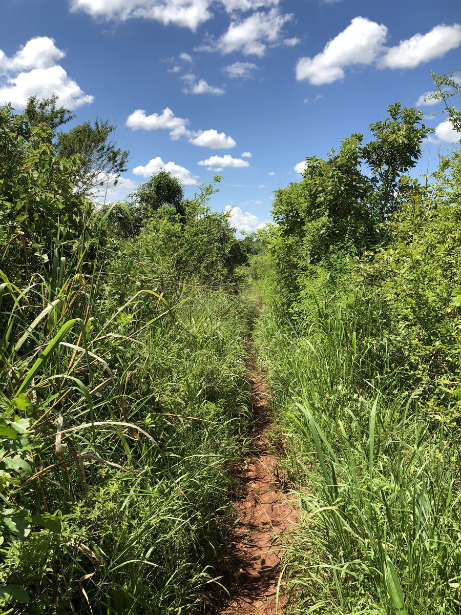 @kat_casablanca @neilhop76 @GJNeurosurgery <a href="/AFAlalade/">AndyNEURO</a> <a href="/ibrhmj/">ibrahim jalloh</a> Day 4 of a surgeon's life in pictures. No words. No explanation. Thanks for the nomination @kat_casablanca. I nominate <a href="/SamihHassan7/">Samih Hassan</a>