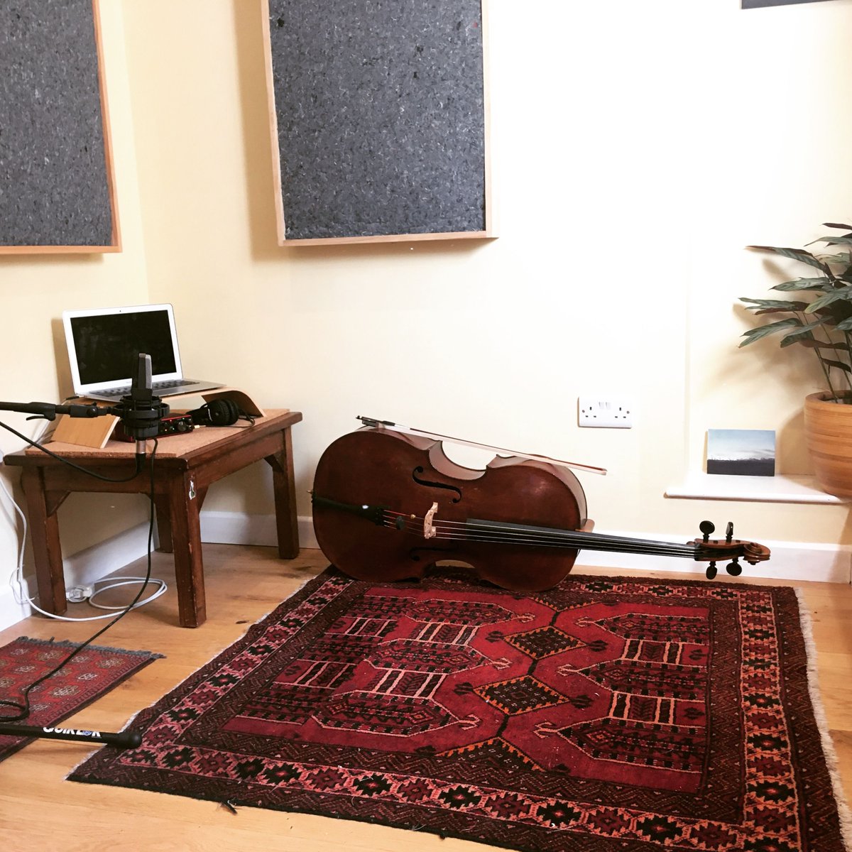 SheffieldGuild's tweet photo. After Covid struck, freelance cellist and #SCGmember Liz Hanks (@lizhankscello) decided to try setting up her own home studio – no mean feat for a self-described technophobe. Find out how she got on over on our blog:
https://t.co/b2aYHzm8qo https://t.co/ivyuqBQbSw