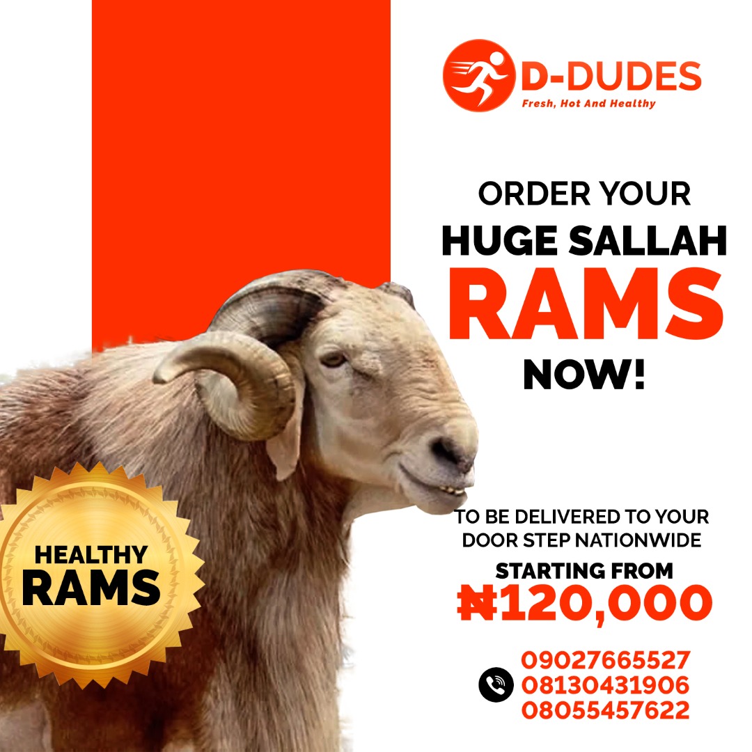 Salihu_Ndanusa's tweet photo. HUGE RAMS for your sallah celebration, we also deliver to your door step.@ddudes_ng #SallahRams https://t.co/UekyvOjJcH