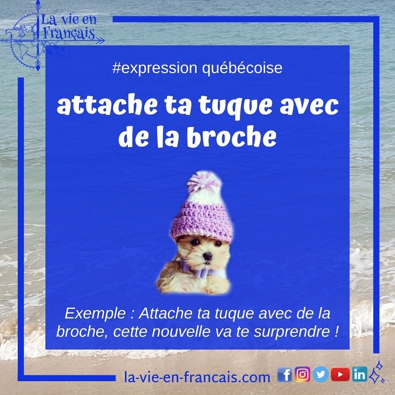 Lavieenfrancais's tweet photo. 🥐 "Attache ta tuque avec de la broche" signifie qu’il faut se préparer à affronter une situation difficile
🌞 “Attache ta tuque avec de la broche” significa que hay que prepararse para enfrentar una situación difícil
#FLE #francais #frances #french #expressionquebecoise https://t.co/jfh4tP9UX2