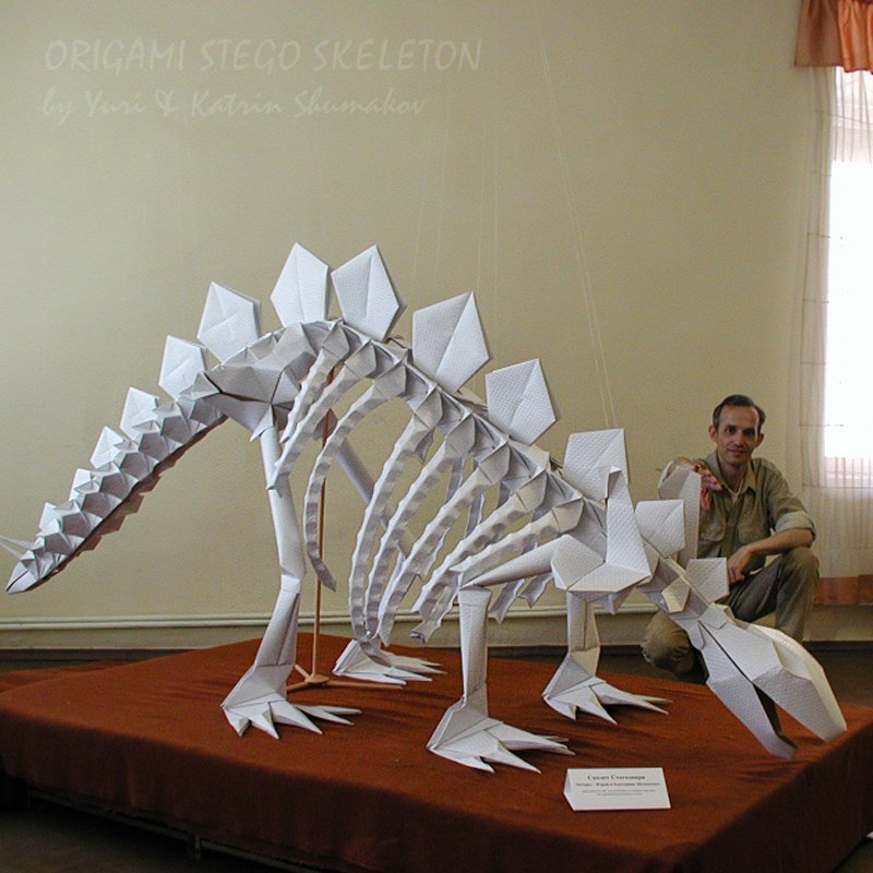 Oriland On Twitter Rooo Aaarrr From Our Display Long Time Ago Yuri With Our Big Paper O Saurus Stego Skeleton Folded From 80 Sheets Of Paper Final Size 1 5 M High 3 M Long