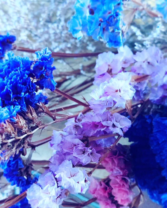 ドライフラワーの花束 