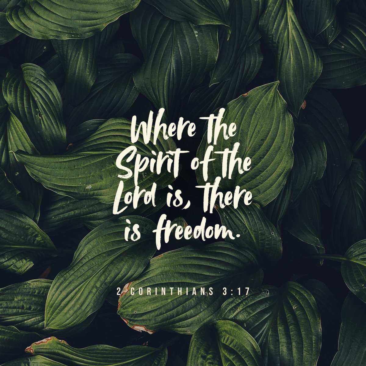 NextLevelsmBTX's tweet photo. Take time today to get in his presence. That’s where you will find freedom from whatever has you captive. What are you needing freedom from? 

#revival #revivalyouth #wearerevival #baytown #GCM #FREEDOM https://t.co/JRIOOQKTka