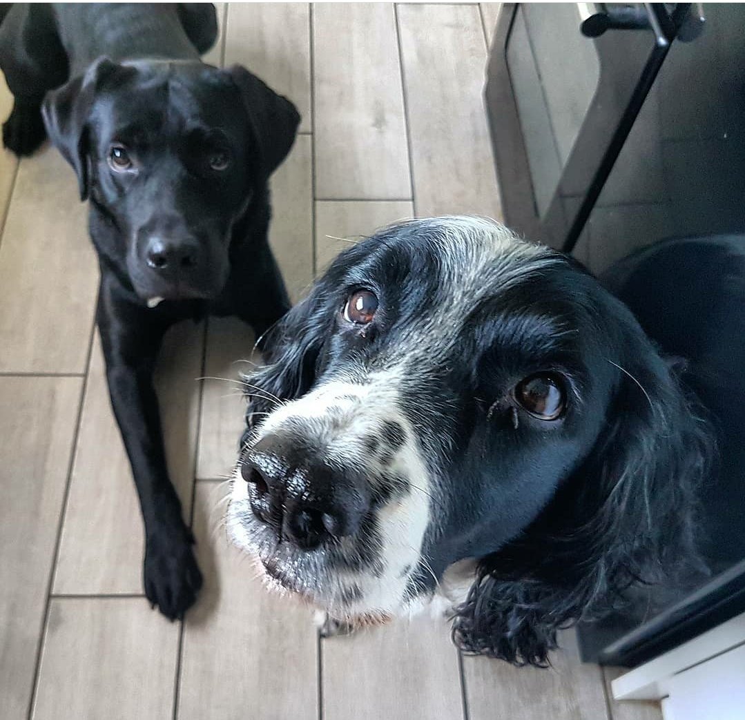 Michelle Southwould tweet media